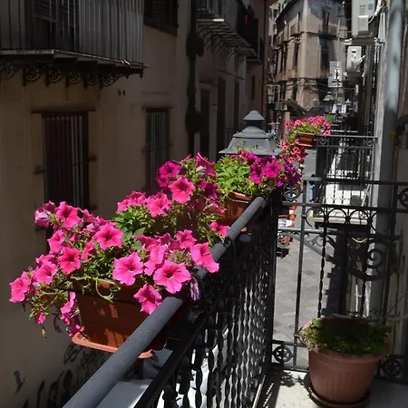 Sunflower Garden * Palermo